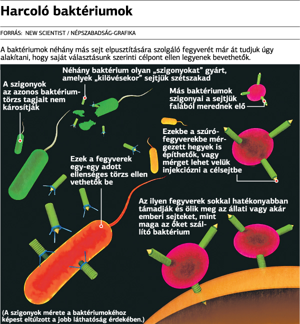az ételekben hasznos baktériumok