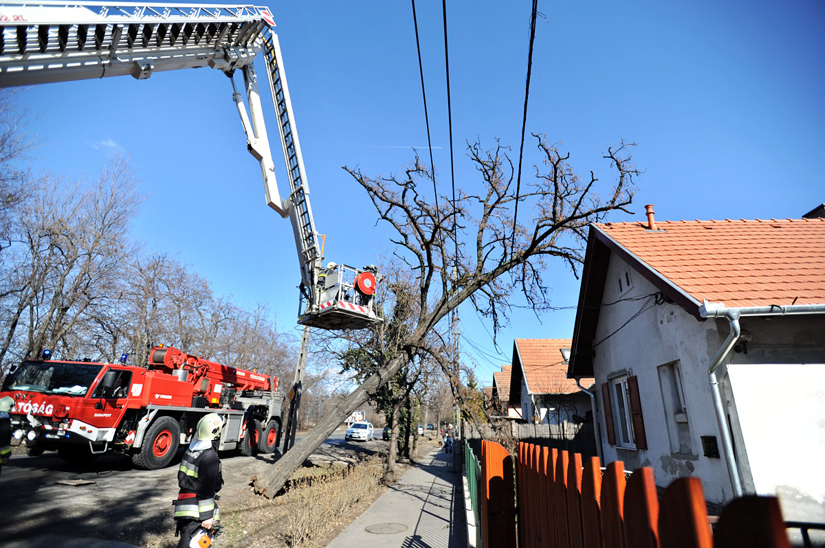 A budapesti és a gödöllői tűzoltóknak is be kell segíteniük a Dunakanyarban