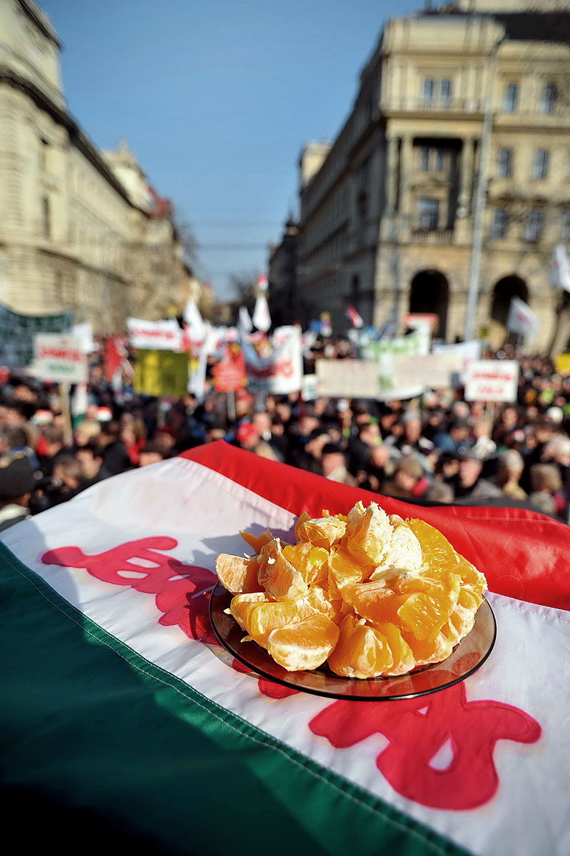 A magyar narancs asztala