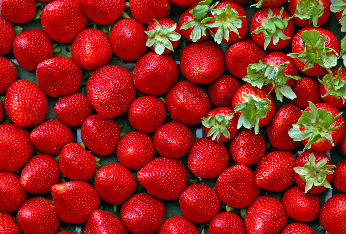 Strawberries are displayed during the 2009 Strawberry Festival in the agricultural village of Mgarr in the north of Malta April 26, 2009. The annual festival sees brisk business at stalls selling freshly picked strawberries and gourmet dishes made fr