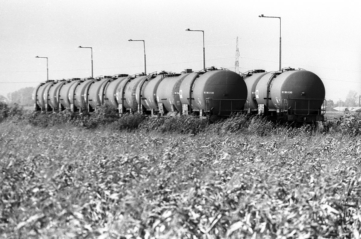 Zagyvarékas, 1996., elhagyott olajtartályok – minden az olajozással kezdődött