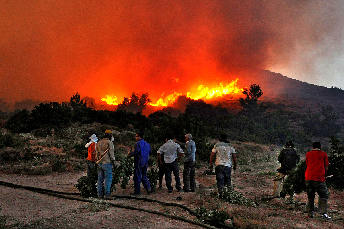 Itt már a háztáji sem fog segíteni a válságon – Chios szigetén a tűz elpusztította a termés felét