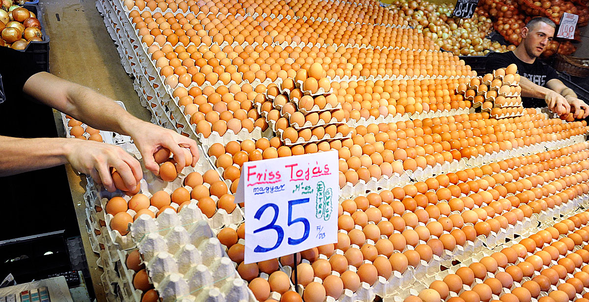 Egy év alatt 32,3 százalékkal emelkedett a tojás ára, s ezzel vezet az egyébként erős mezőnyben