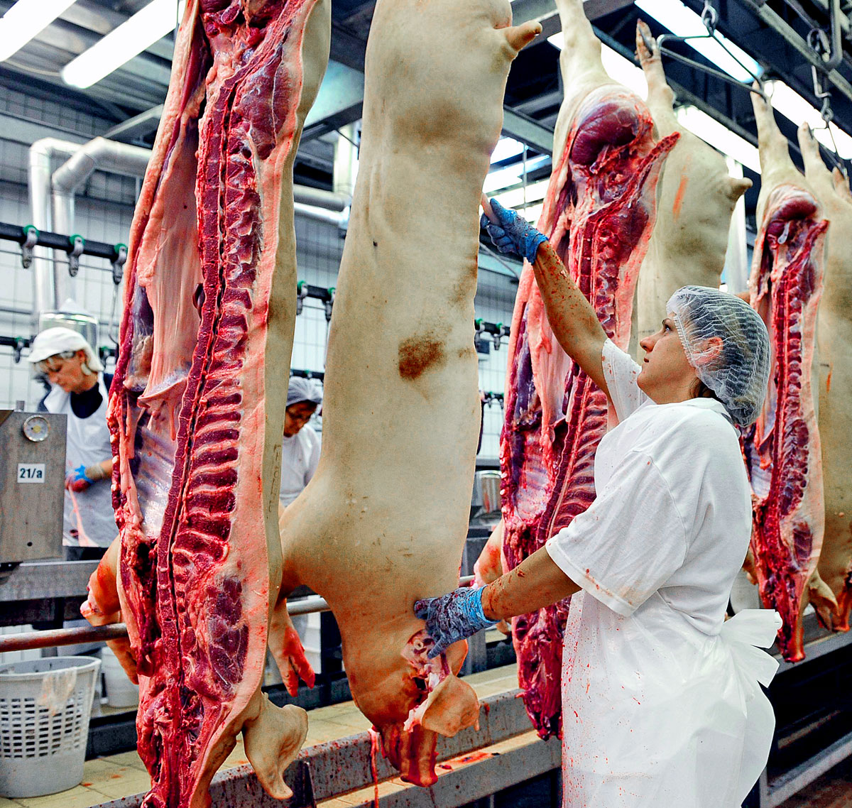 Húsfeldolgozás a Pick gyárában. A feladat fele elvégezve