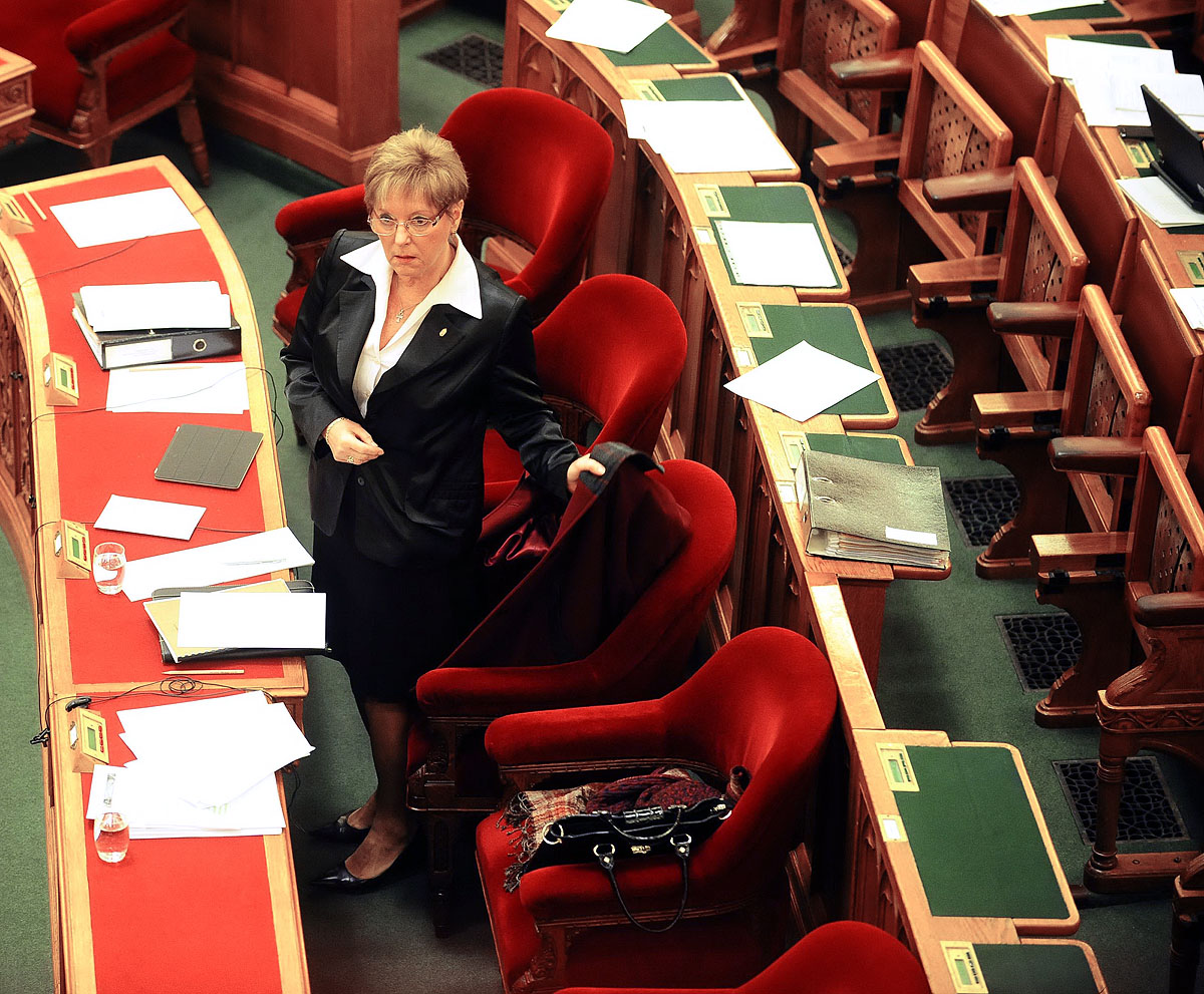Hoffmann Rózsa a parlamenti vitán