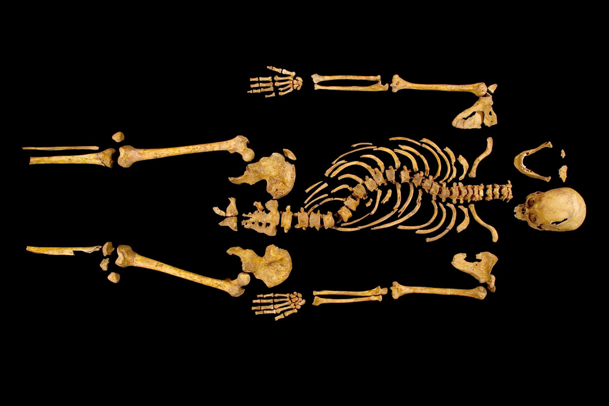 III. Richárd néhai angol király földi maradványait találták meg tavaly szeptemberben Leicester egyik autóparkolójának betonja alatt