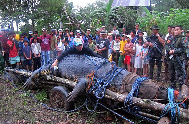 Vasárnap elpusztult Lolong, a 6,17 méter hosszú és egy tonna súlyú krokodil