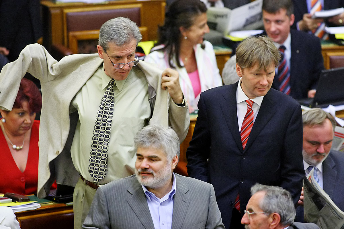 Szétszóródtak – liberálisok a parlamentben, 2009-ben
