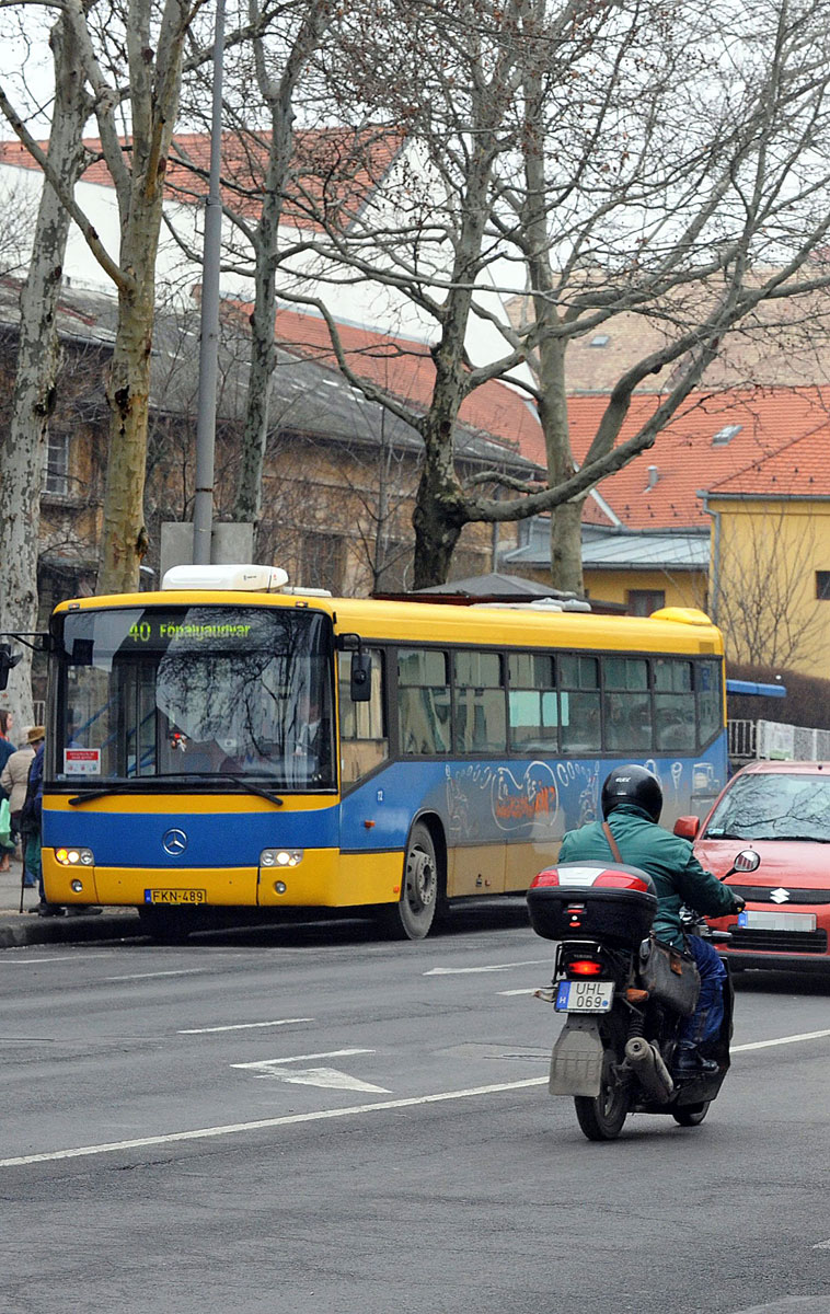 A buszok átlagéletkora 15 év