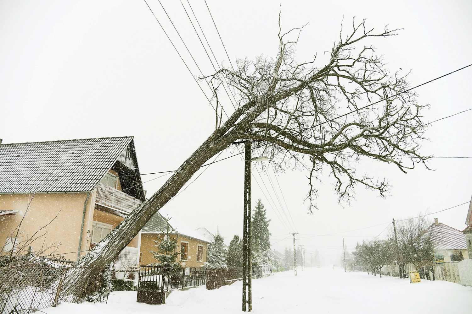 Elektromos vezetékre dőlt fa a szabolcsi Kótajban, ahol napokig nem volt áram március idusán