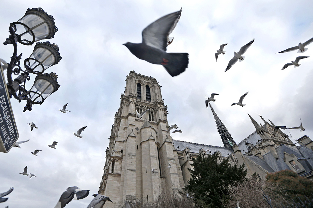 A párizsi Notre Dame. Kissé zavart férfi, halálos ideológiával