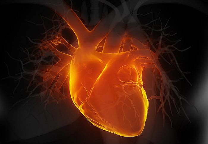 A beépített gén jelentős gyógyulást hozott a beteg szívben