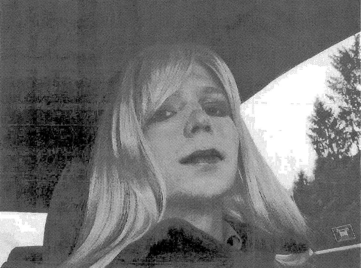 Bradley Manning nőként. Azt remélte, a hadsereg megoldja a nemi identitási problémáit