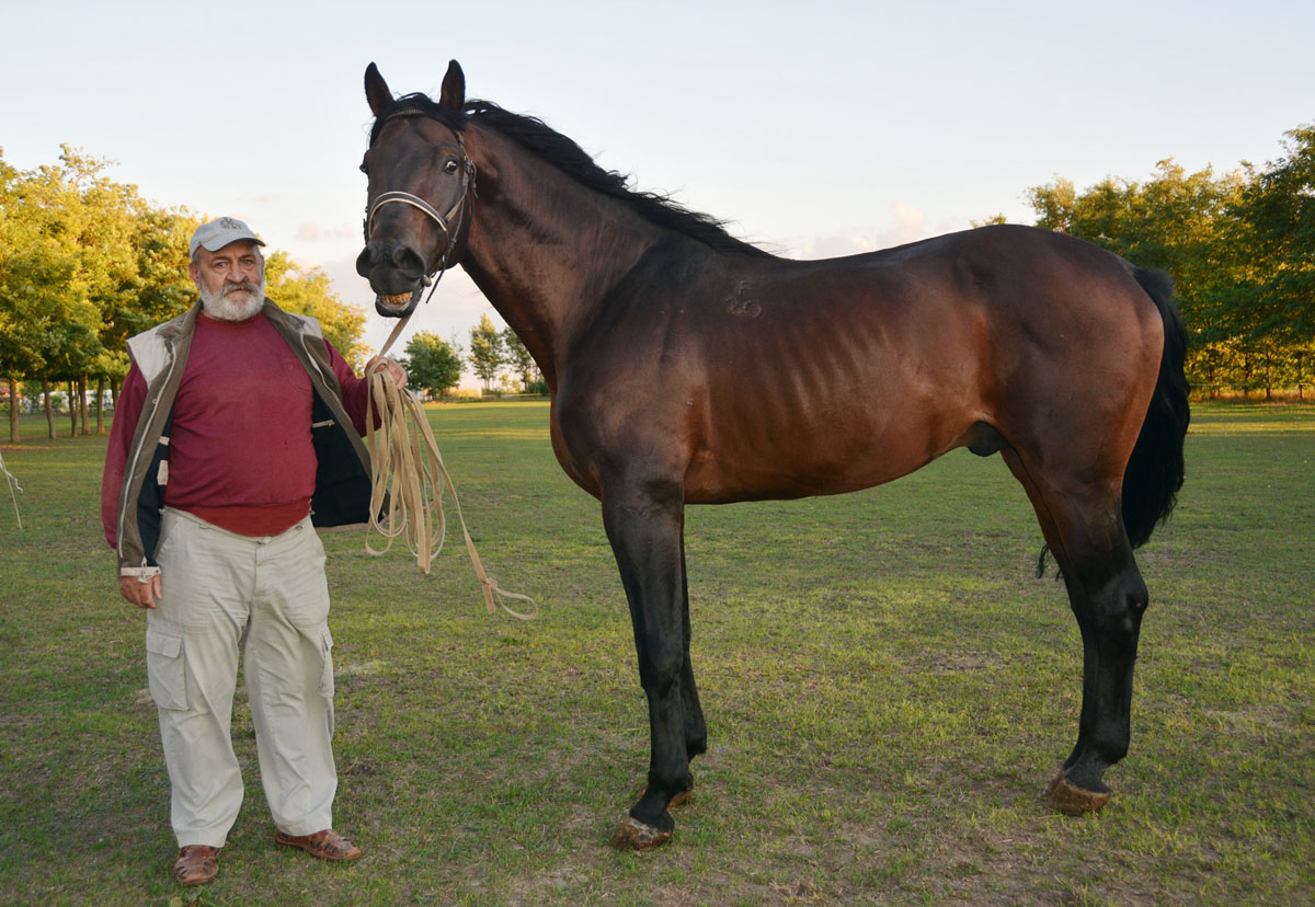 Kovács Béla és a ló