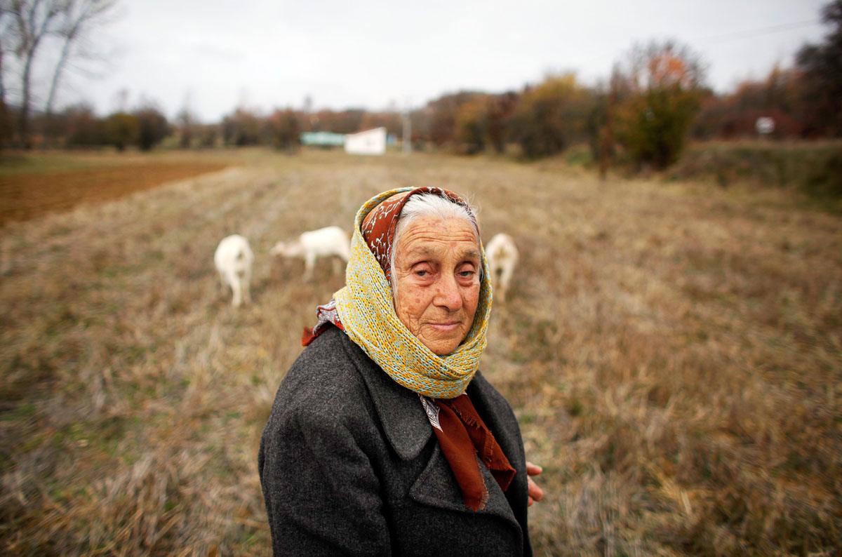 Idős asszony állataival egy dél-szerbiai falu határában. A spekulánsok már felverték a földárakat