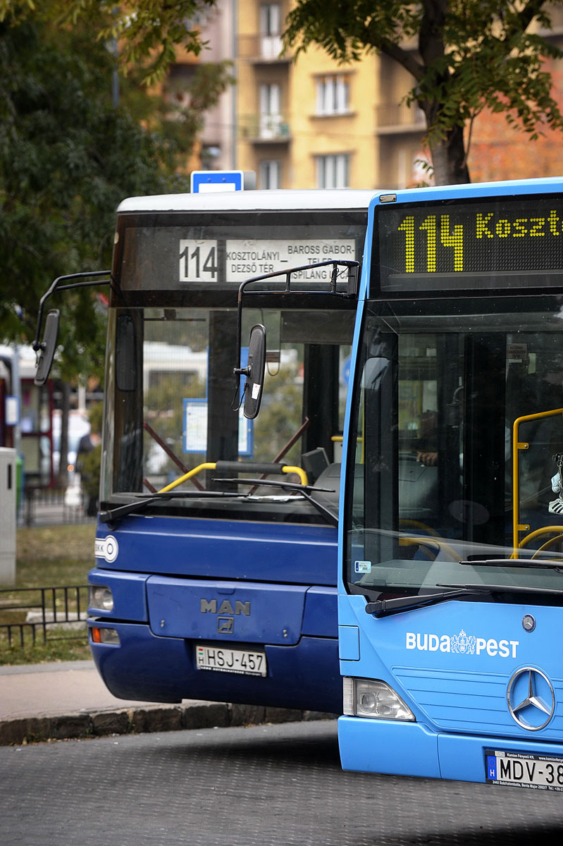 A BKV olcsóbban üzemeltetné a buszokat, mint a külső cégek
