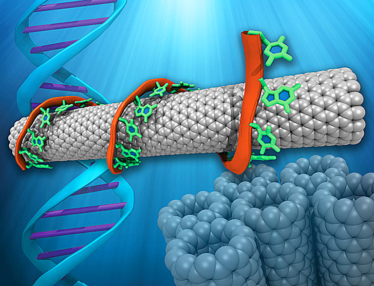 Az érzékelő szén nanocsöveit DNS-molekulákkal borították