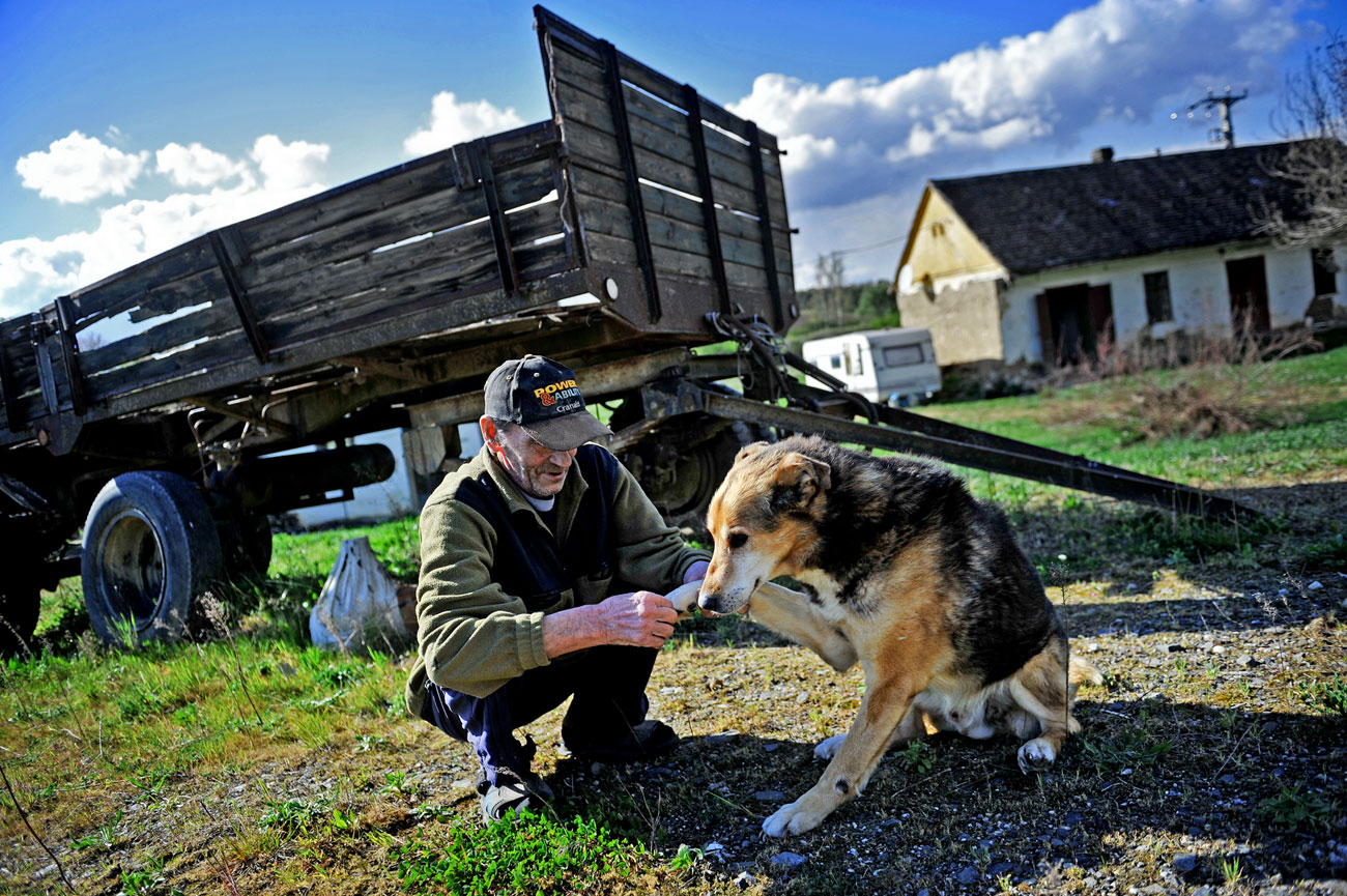 Kutya, gazdája és nagyüzemi mezőgazdaság Erzsébet határban