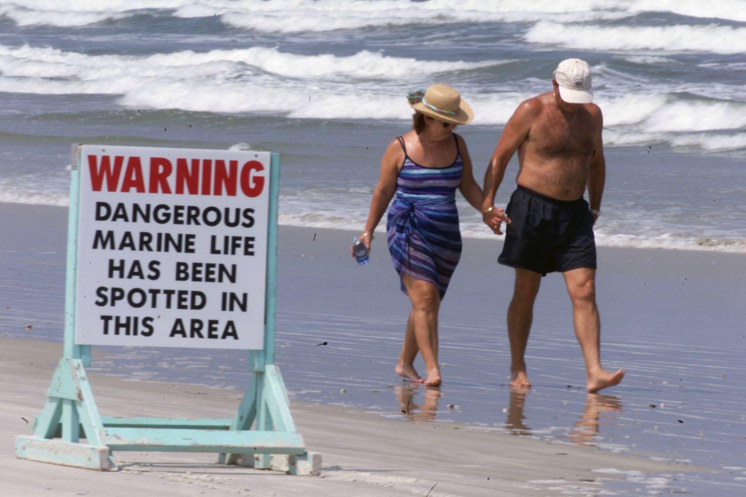 2001-ben lezárták a floridai New Smyrna partszakaszt, miután tíz nap alatt tíz cápatámadás történt