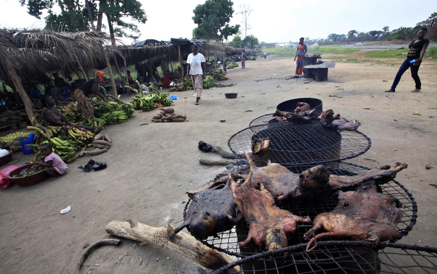 Füstölt erdei zsákmányt kínálnak egy kongói piacon