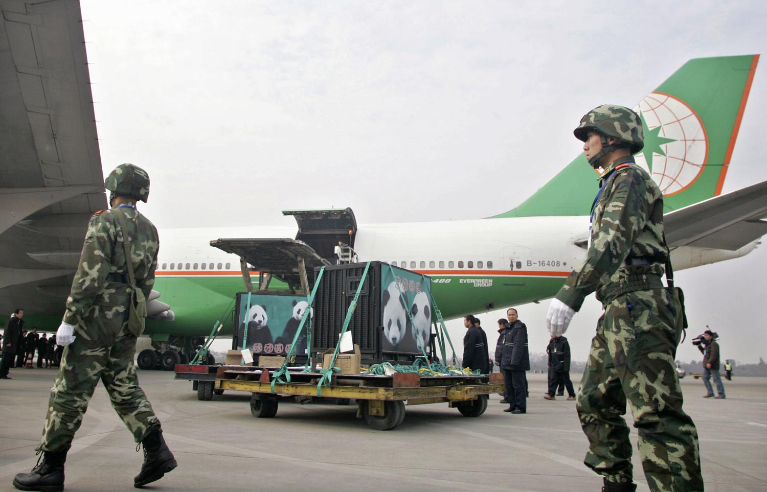 Szigorú katonai felügyelet mellett repülőre teszik a Kína által Tajvannak ajándékozott két óriáspandát