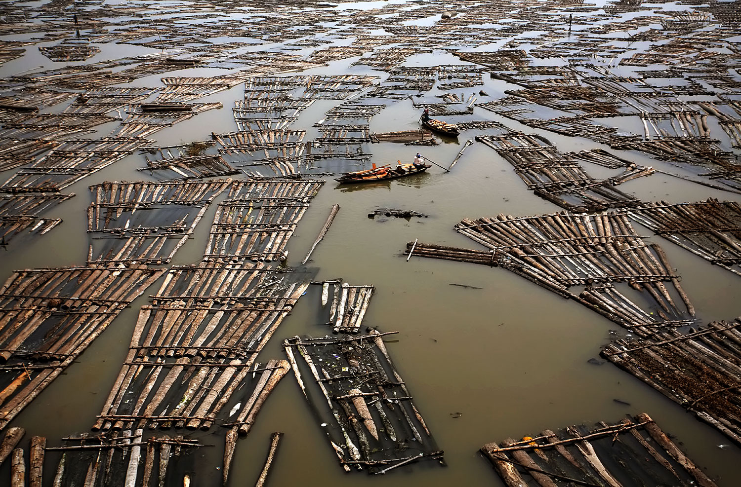 Úsznak az esőerdőből származó farönkök a Lagos melletti lagúnában