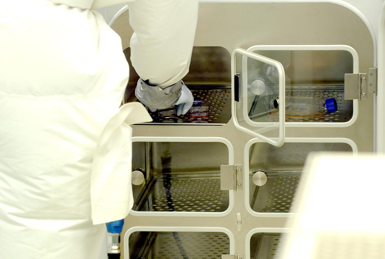 A Nemzeti Biztonsági Laboratóriumban a világ legveszélyesebb vírusait tárolják