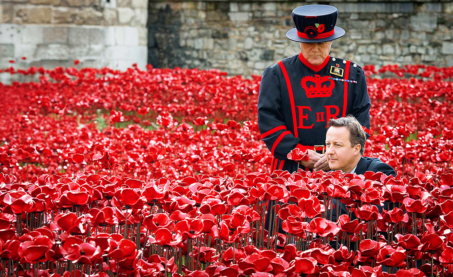 David Cameron brit kormányfő is „elmerült” a műpipacsmezőben