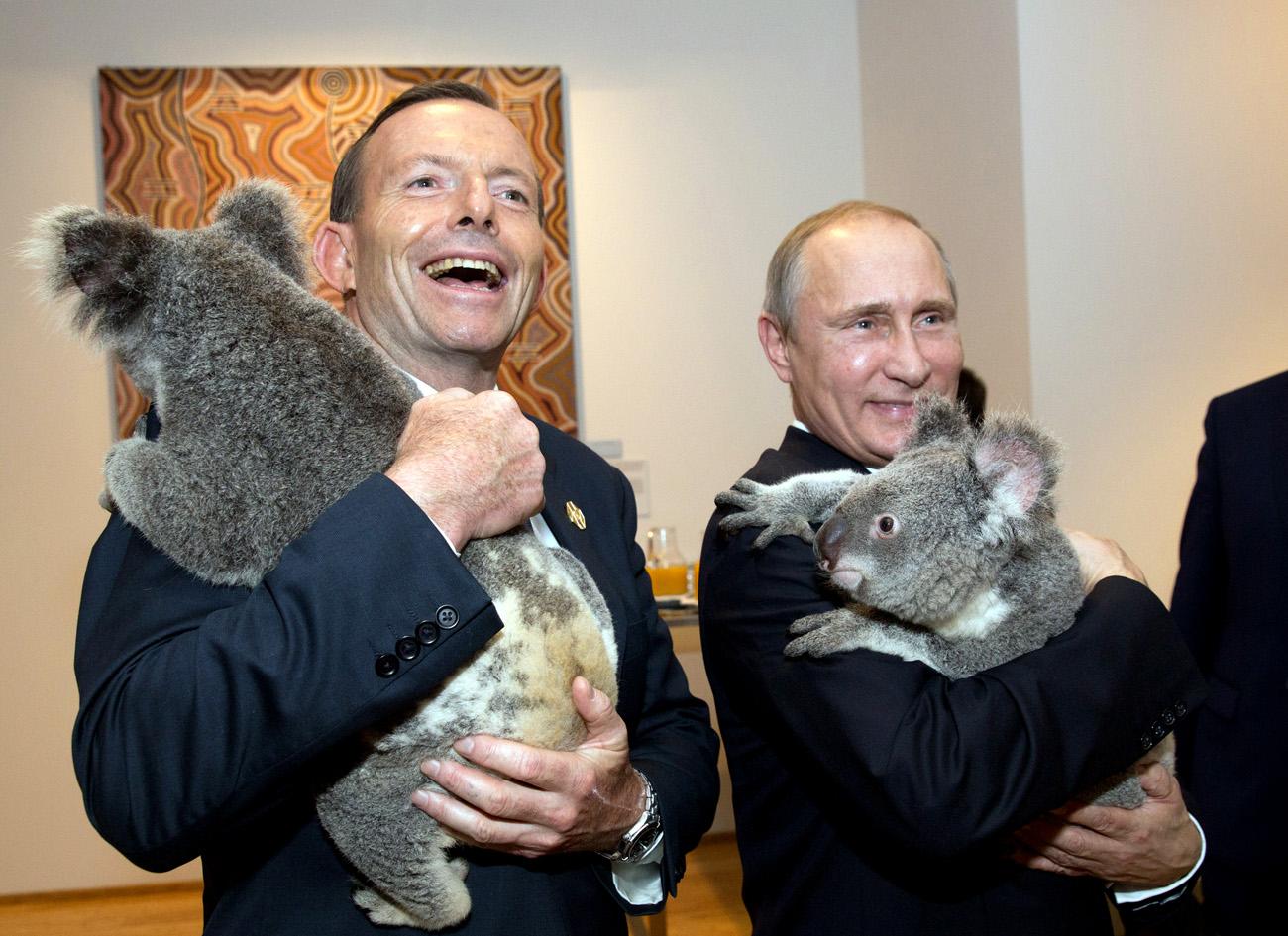 Tony Abbott ausztrál kormányfő, Putyin és a koalák. Fokozott nyomás