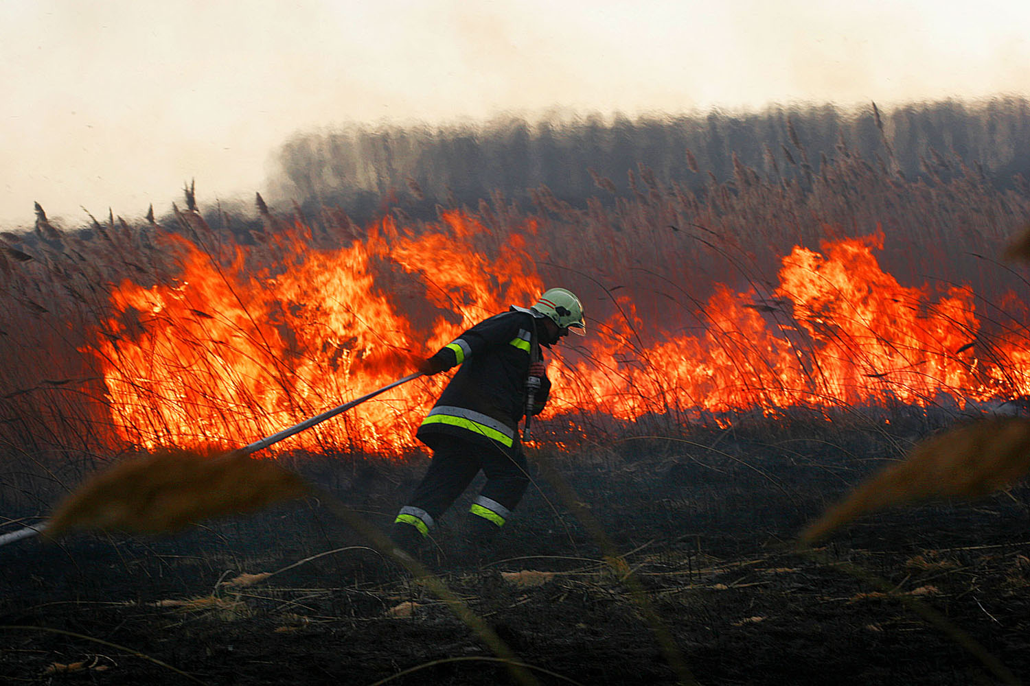 Önkéntes tűzoltó küzd a tarlótűzzel: jár nekik a pluszforrás