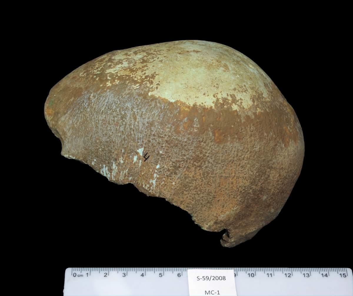Az 55 ezer éves csont