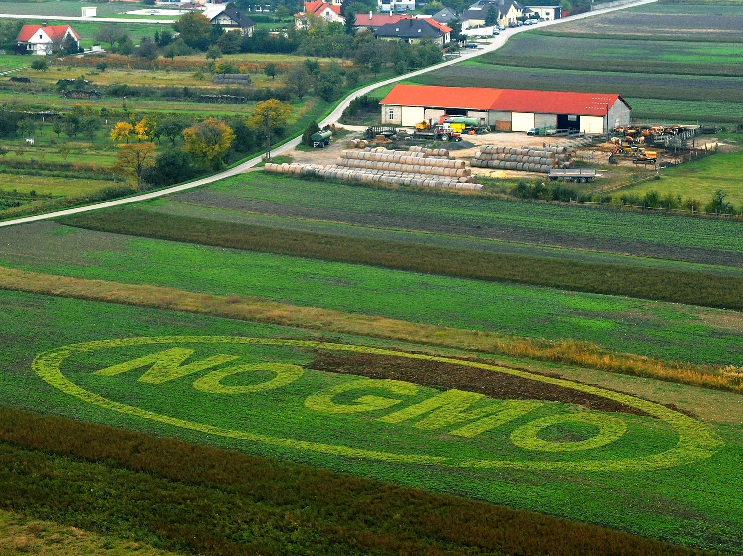 Osztrák gazdák üzenete: nem a GMO-ra
