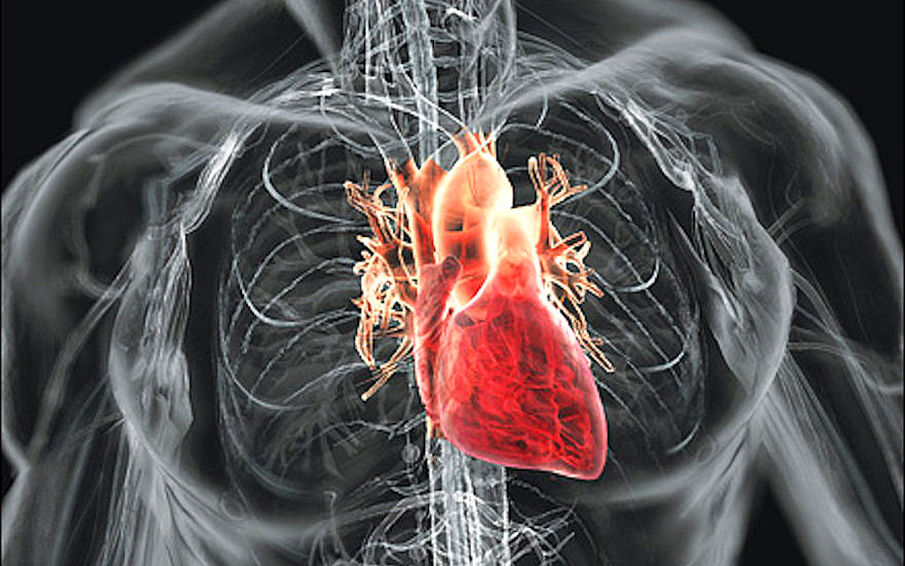 Digitalizált emberi szív