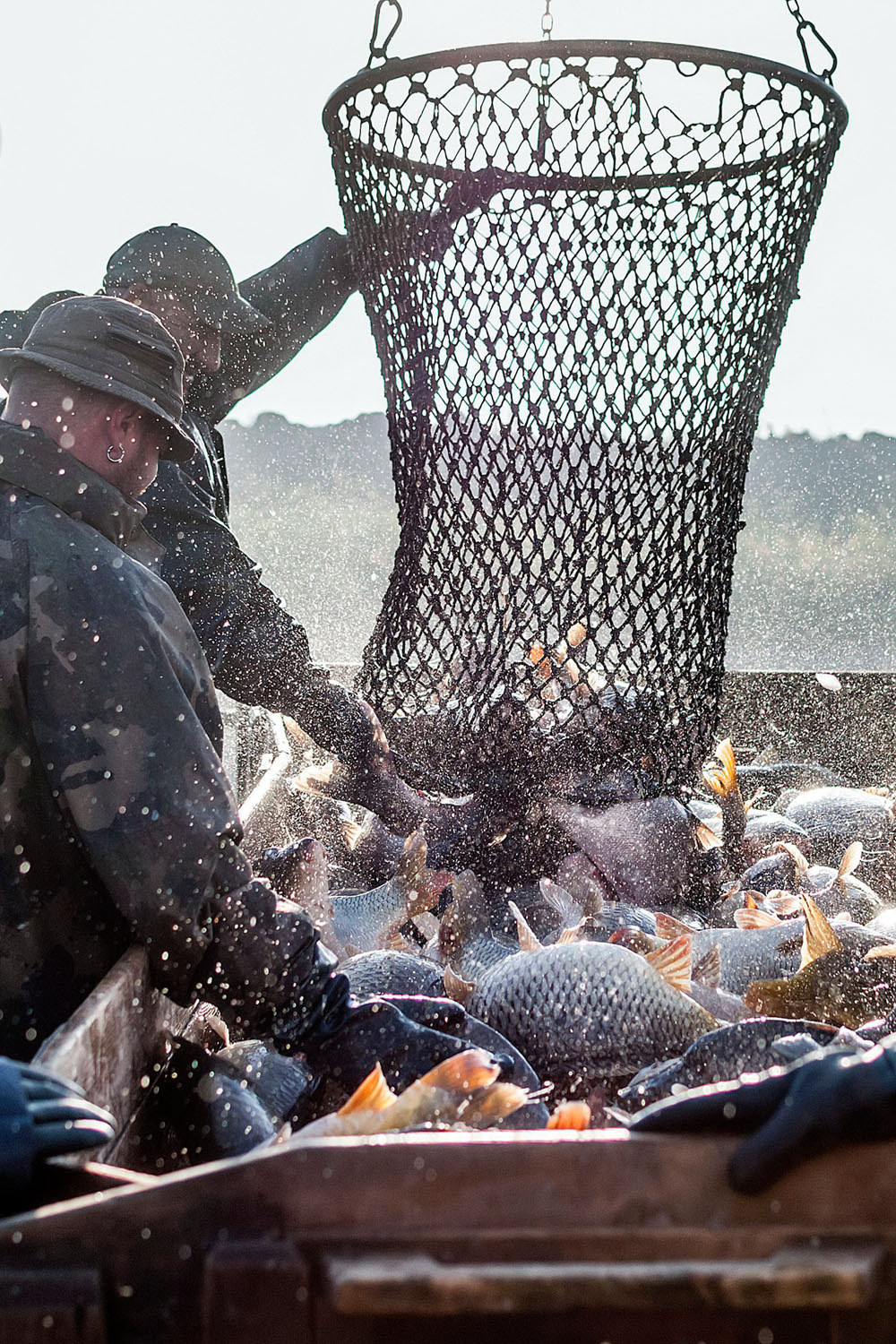 A pecások sokszor a halászokat okolják az elmaradt fogásért