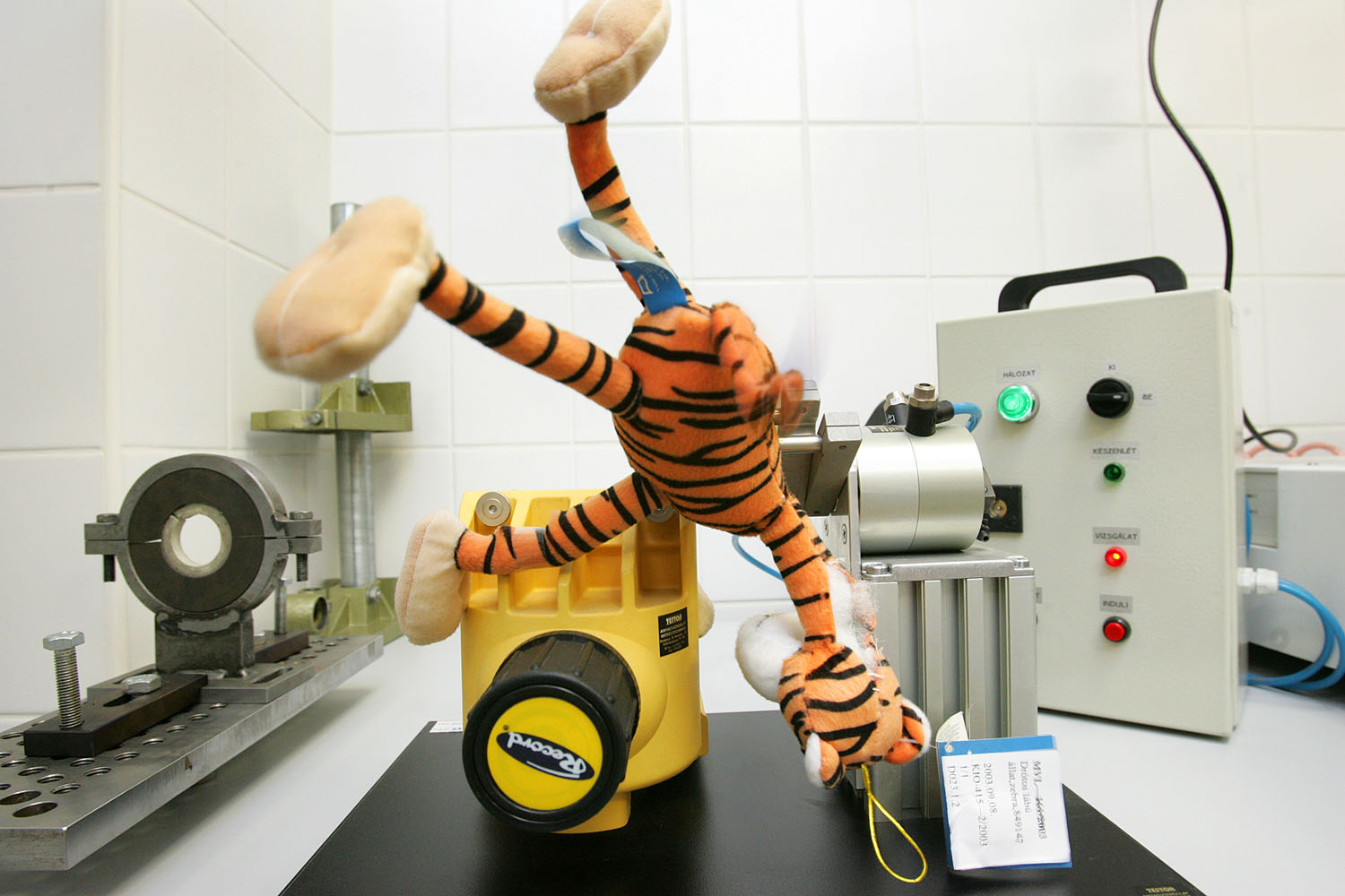 „Állatkísérlet” a fogyasztóvédelem laborjában. Gyakran van gond az áruk minőségével is