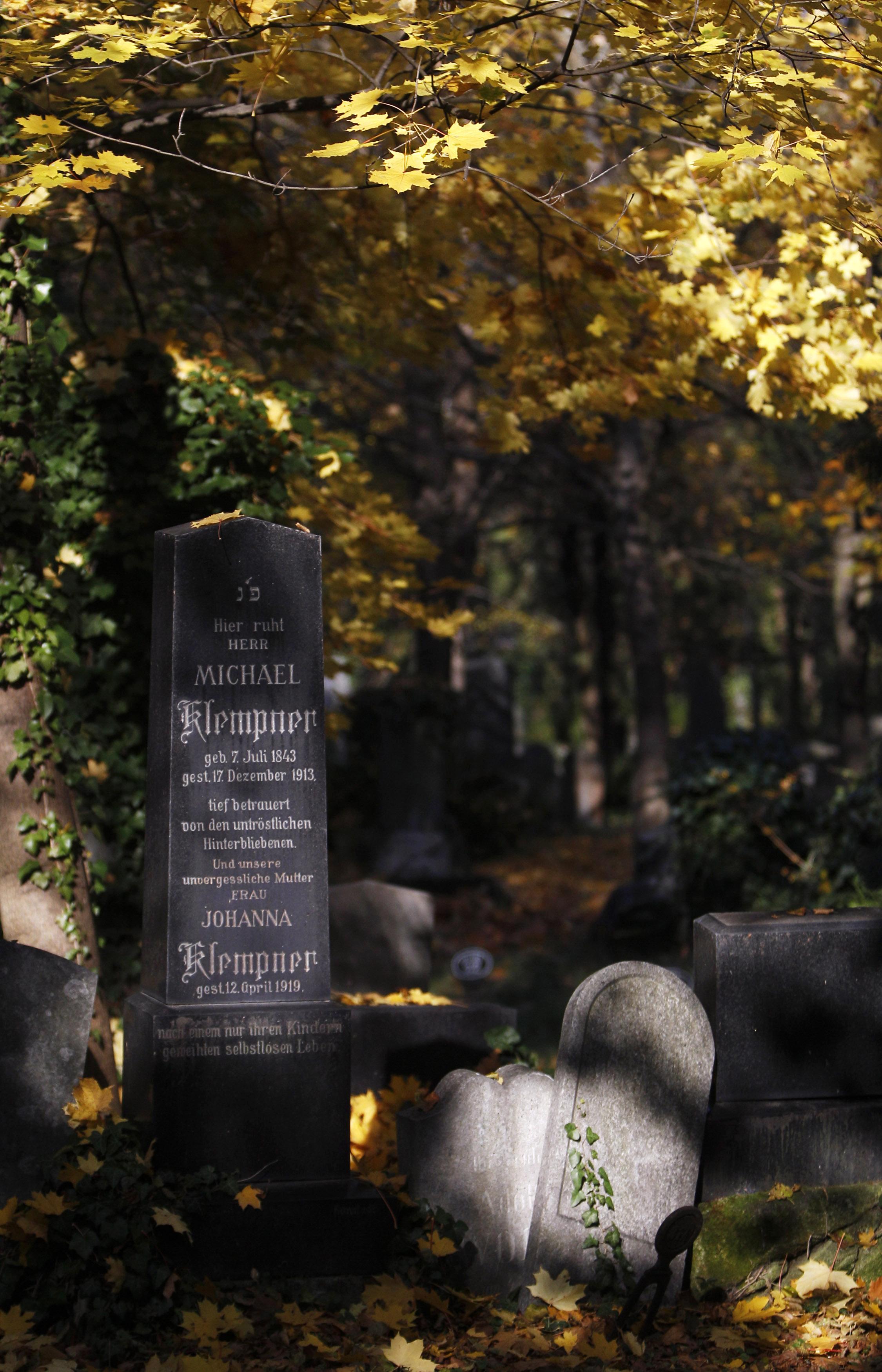 Zsidók sírkövei 2010-ben a bécsi központi temetőben. Ausztriában tipikus attitűd, hogy az osztrákok áldozatok