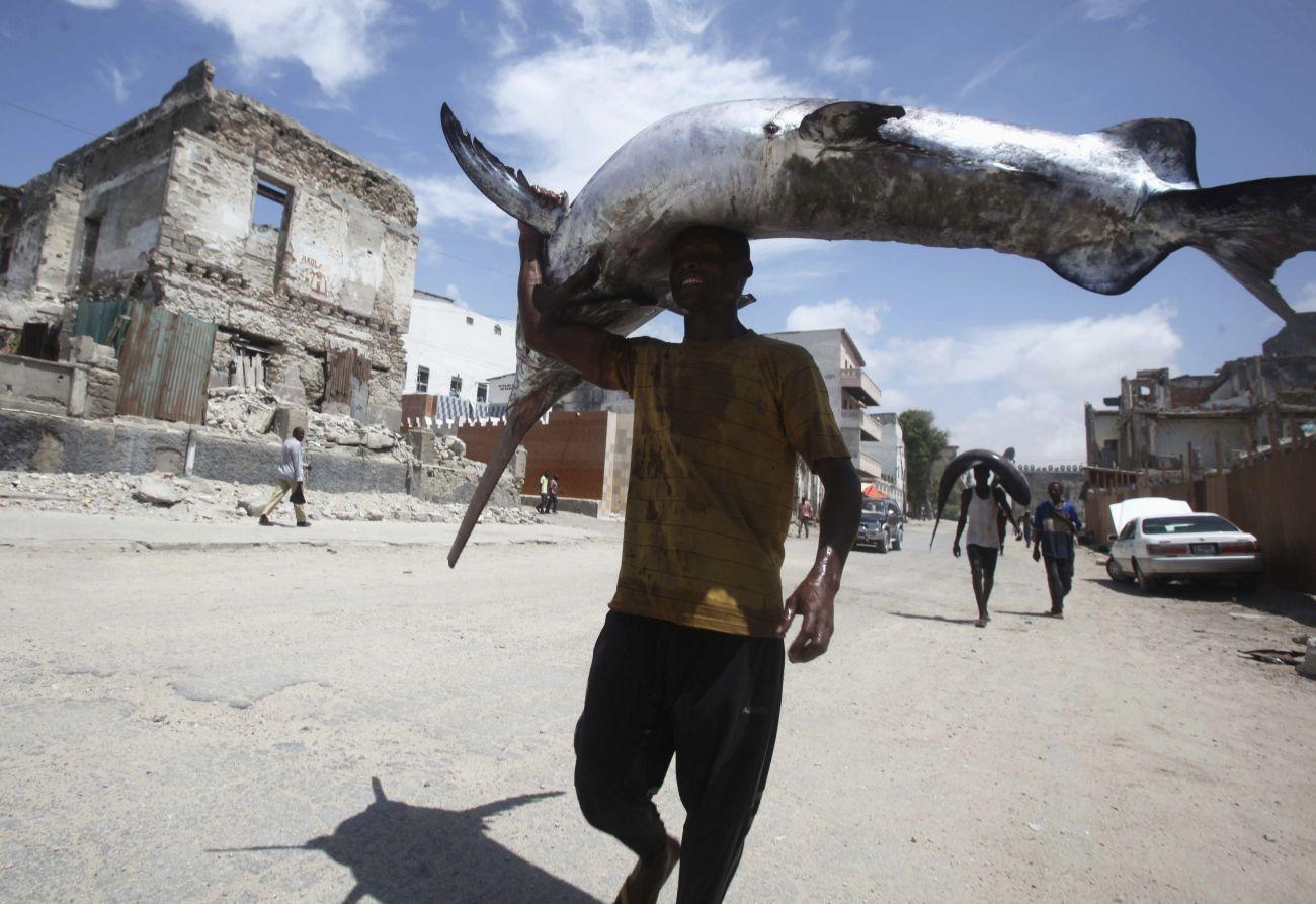 Kifogott kardhalak a szomáli Mogadishuban