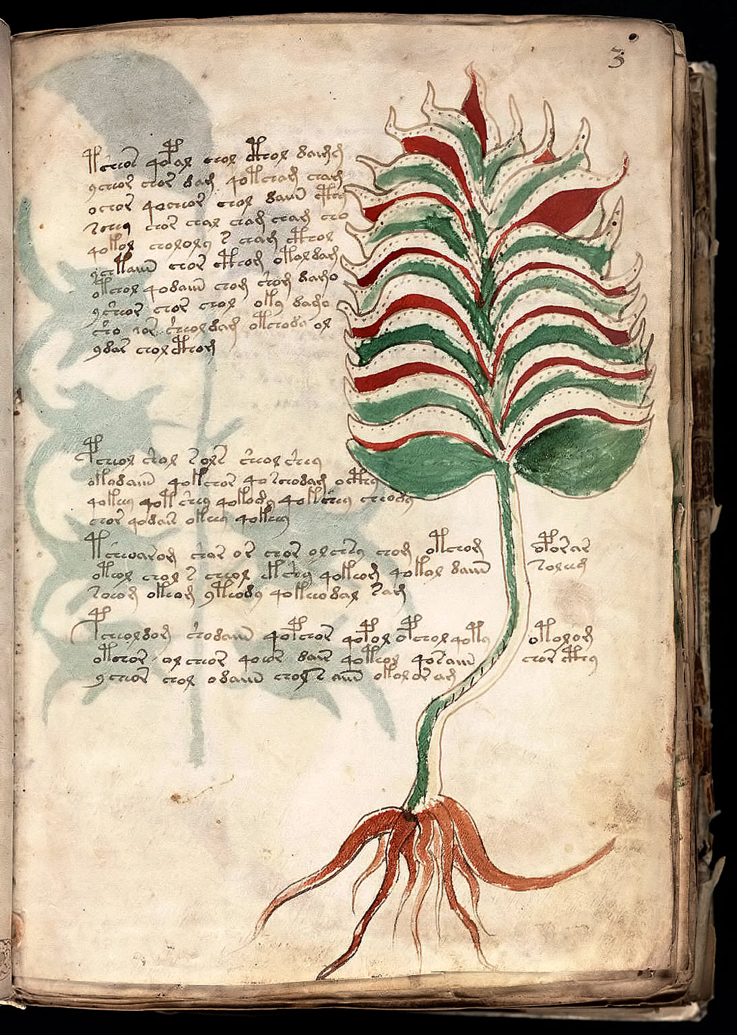 A legrejtélyesebb talány, a mindmáig megfejthetetlen Voynich-kézirat