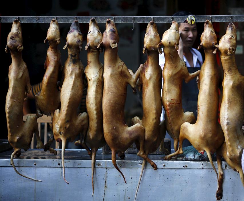 500 éves hagyományai vannak a kutyahús evésnek Yulinban