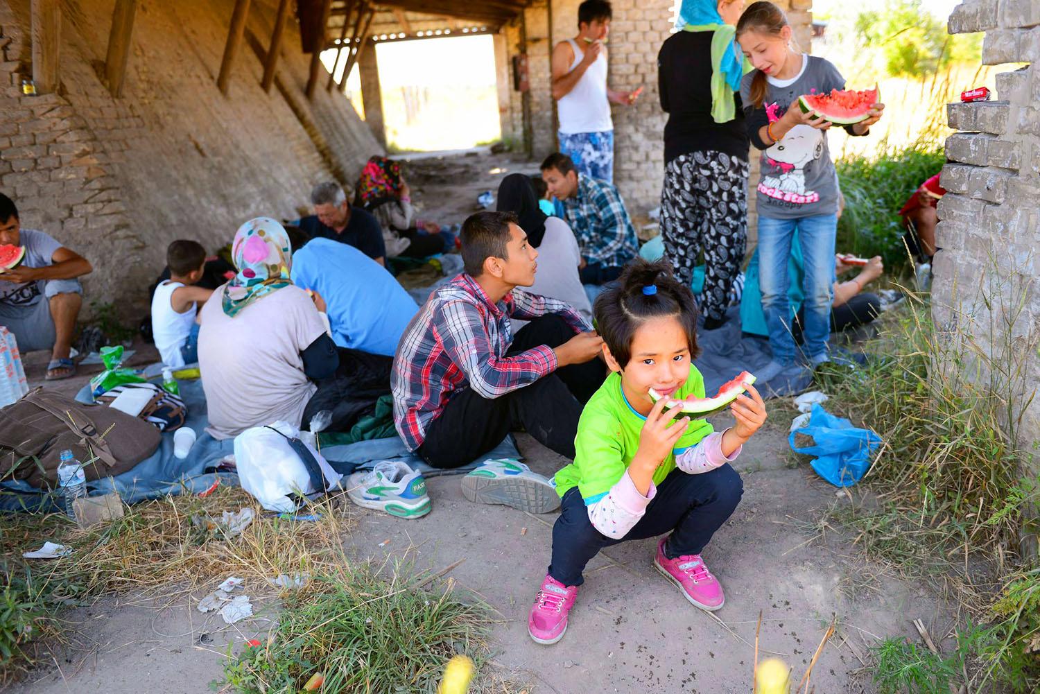 Szabadka, téglagyár – görögdinnyét ebédel a határátlépésre készülő afgán család 