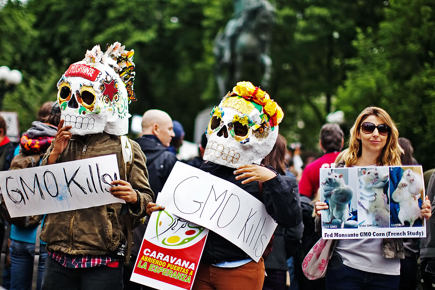 A génmódosított termékek ellen tüntetnek New Yorkban