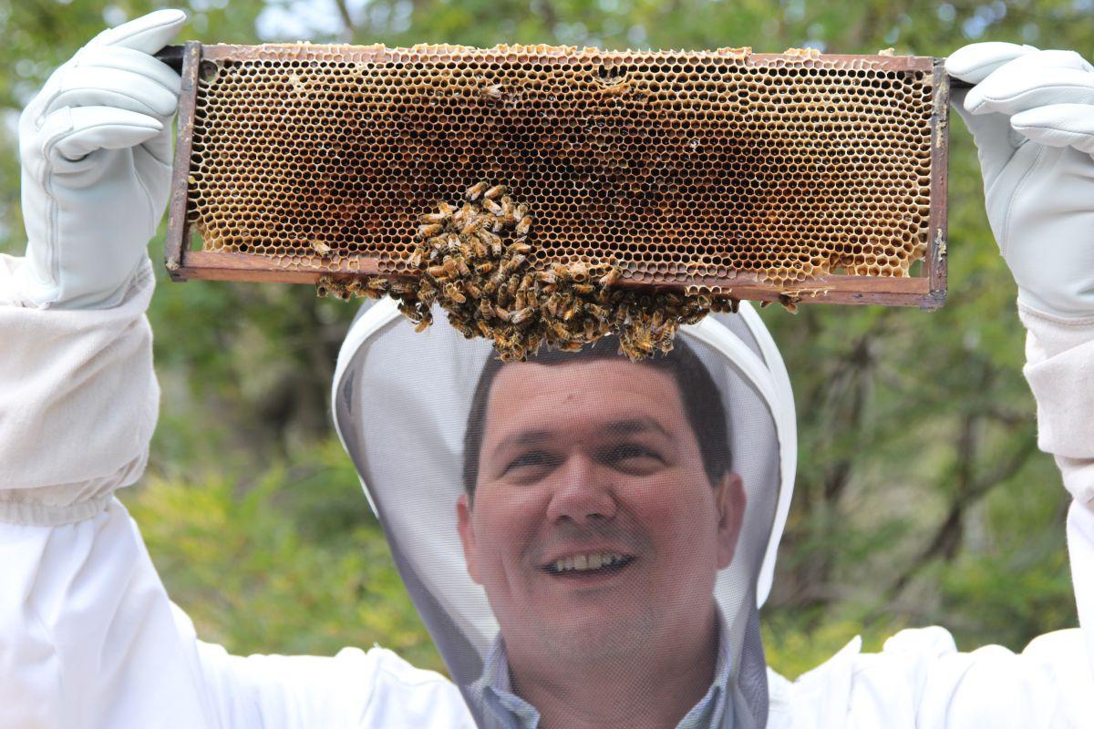 Dr Paulo de Souza és méhek