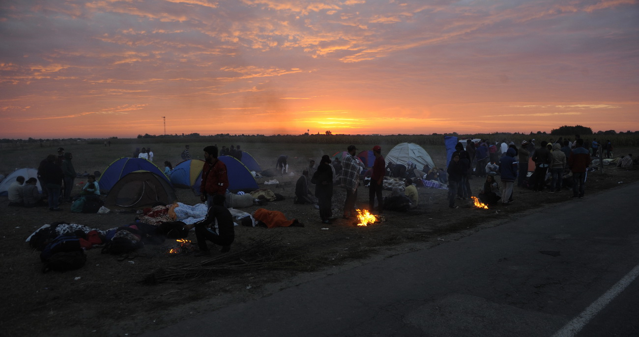Sátrazó menekültek Szeged mellett. Elterjedt a hír, hogy Németország mindenkit befogad