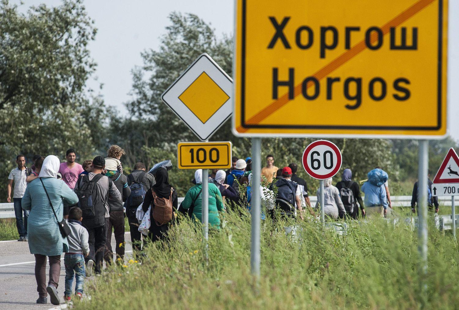 Migránsok keresik a kiutat a szerbiai Horgos határában 