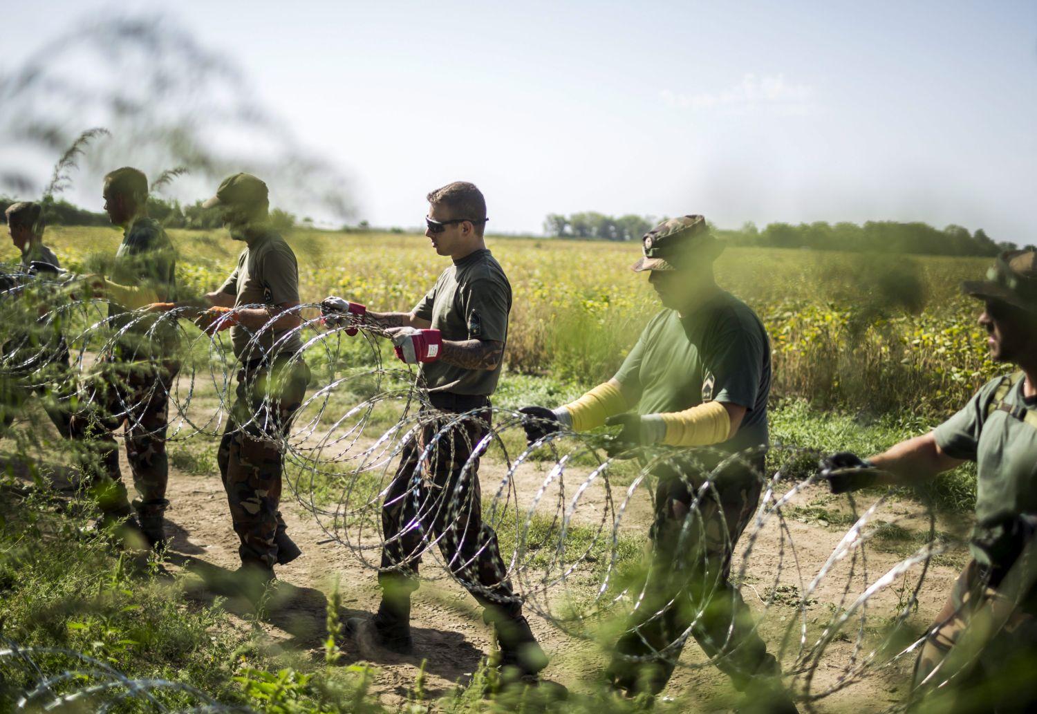 Katonák szögesdrótot helyeznek el a magyar-horvát határ magyarországi oldalán, Sárok határában. A kerítést 41 kilométeren építik ki, az 