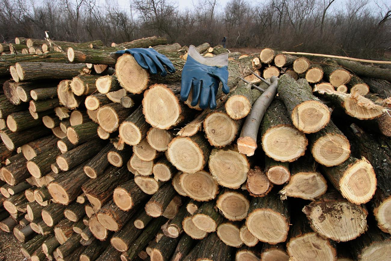 A fakitermelés díja jelentősen eltért a különböző gazdaságoknál
