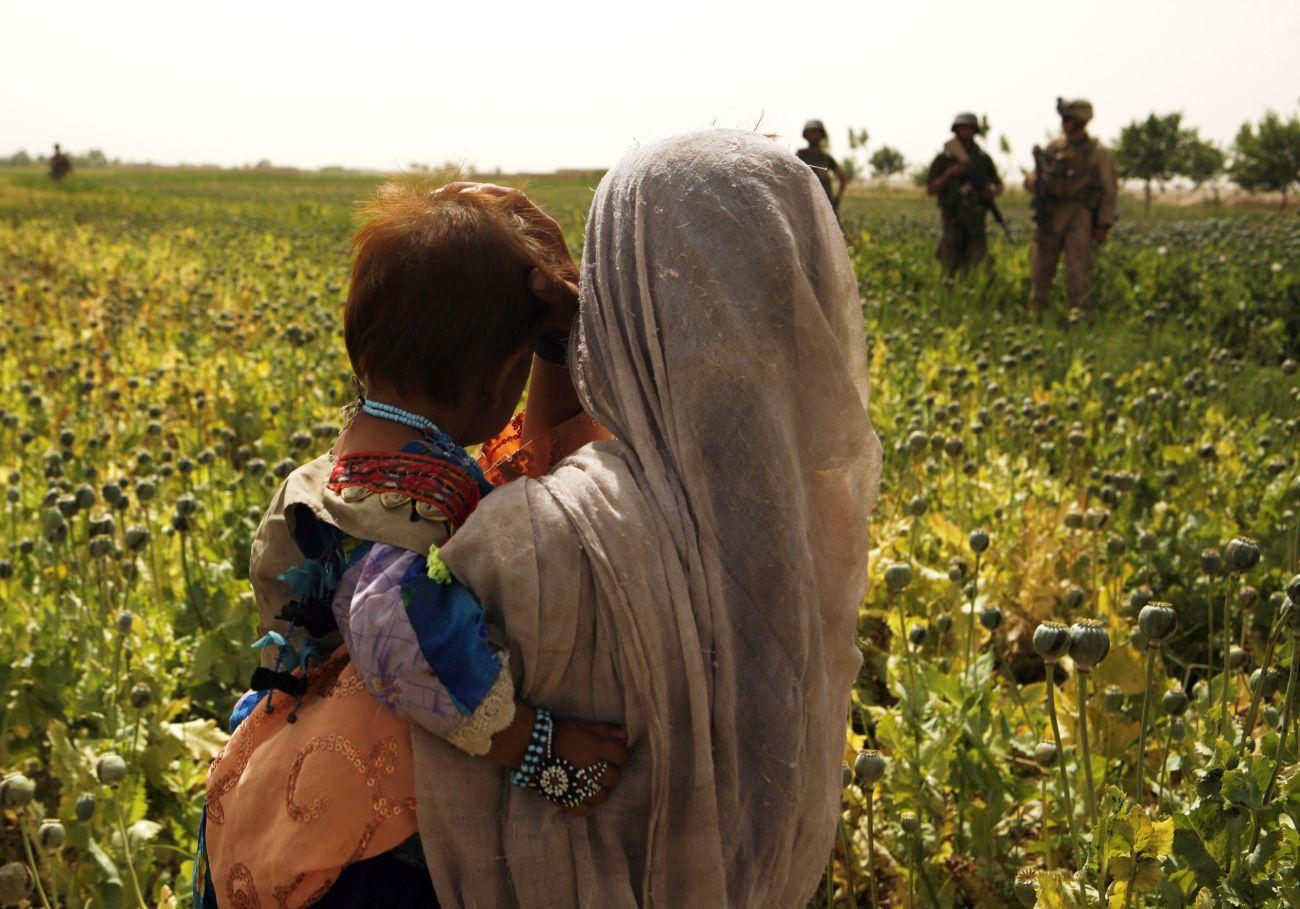 Mákföldön Helmand tartományban 2010-ben. Ez a világ ópiumtermelésének a központja