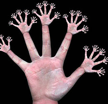 A kéz ujjainak döntő szerepe lehetett