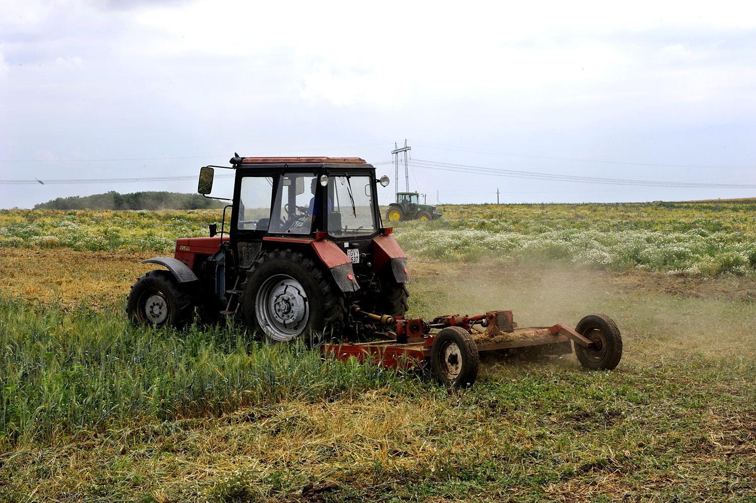A termést pusztító traktor Kishantoson