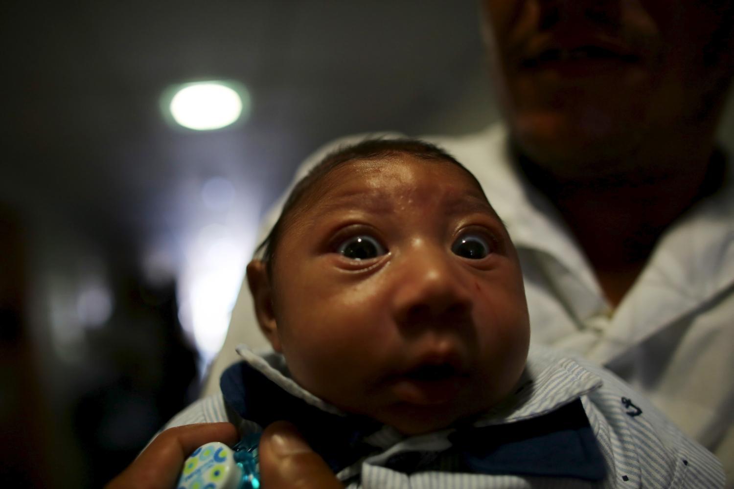 Recife környékén 1400 baba érintett